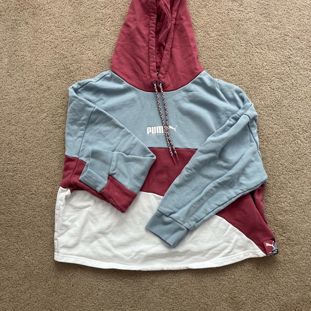 Puma Colorblock Hoodie